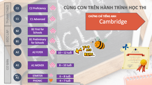 lộ trình tiếng anh tiểu học